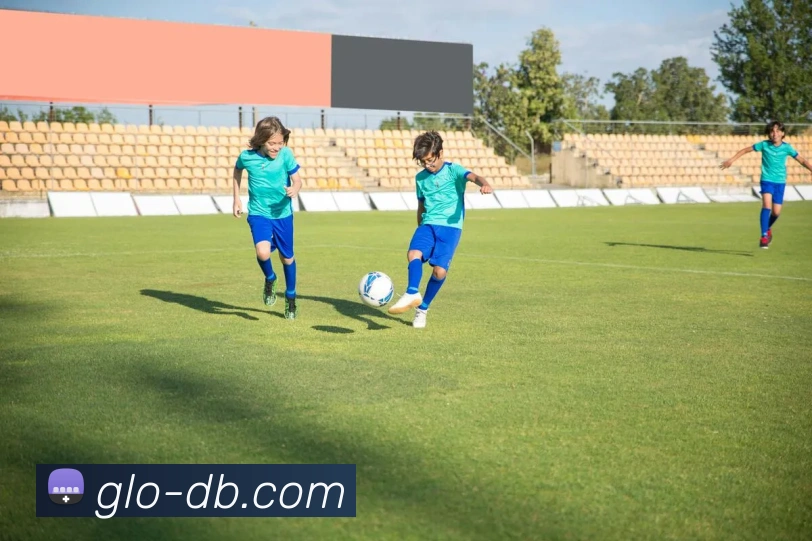 DB真人官网APP 封面图