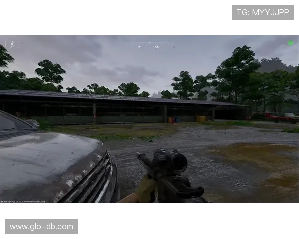 灰区战争刚进入游戏即闪退的原因分析及解决方法